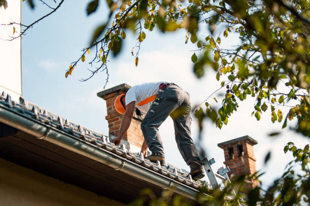 Best Storm Damage Roof Repair  in Freeport, NY